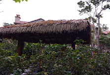 厦门温泉度假村案例