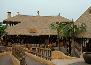非洲茅草风情主题乐园