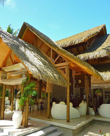 棕榈叶型茅草屋面系统解决方案